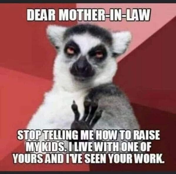 parenting memes, funny parenting jokes, memes about parenthood, humorous family moments, child-rearing humor, laughter in parenting, comical family anecdotes