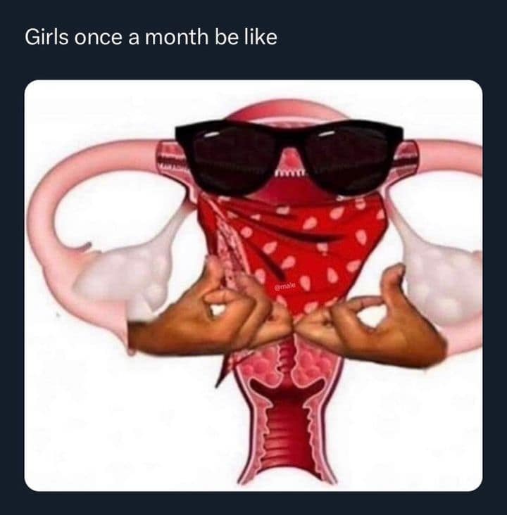 Girls once a month be like