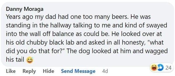 pet memes, animal memes, funny pet stories, talking to pets humor, absurd pet conversations, pet humor, furry friend jokes