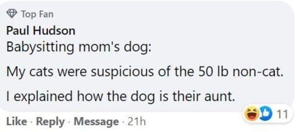 pet memes, animal memes, funny pet stories, talking to pets humor, absurd pet conversations, pet humor, furry friend jokes