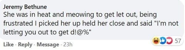 pet memes, animal memes, funny pet stories, talking to pets humor, absurd pet conversations, pet humor, furry friend jokes