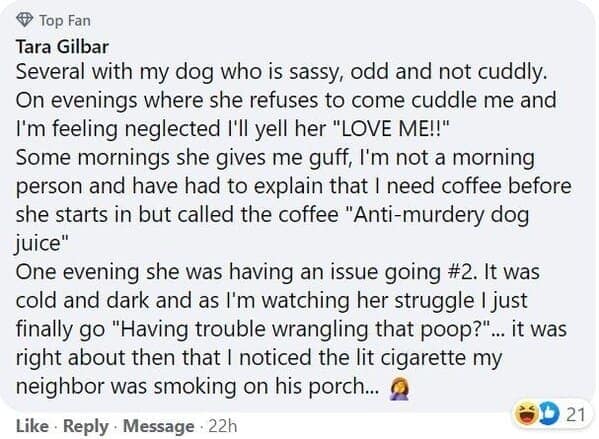 pet memes, animal memes, funny pet stories, talking to pets humor, absurd pet conversations, pet humor, furry friend jokes