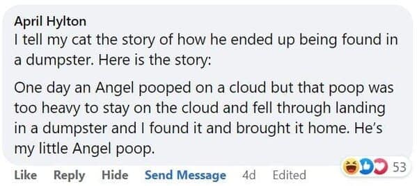 pet memes, animal memes, funny pet stories, talking to pets humor, absurd pet conversations, pet humor, furry friend jokes