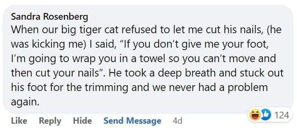 pet memes, animal memes, funny pet stories, talking to pets humor, absurd pet conversations, pet humor, furry friend jokes