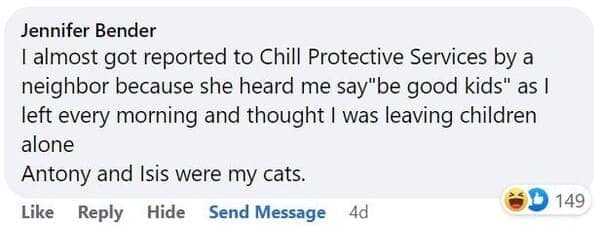 pet memes, animal memes, funny pet stories, talking to pets humor, absurd pet conversations, pet humor, furry friend jokes