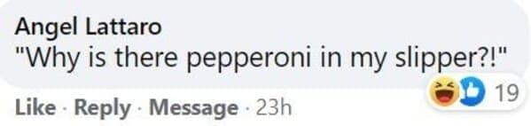 pet memes, animal memes, funny pet stories, talking to pets humor, absurd pet conversations, pet humor, furry friend jokes