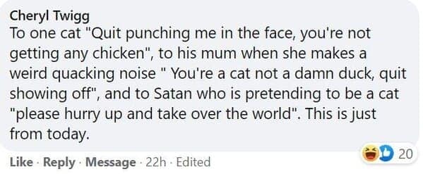 pet memes, animal memes, funny pet stories, talking to pets humor, absurd pet conversations, pet humor, furry friend jokes