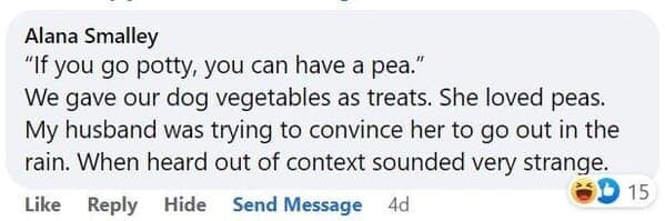 pet memes, animal memes, funny pet stories, talking to pets humor, absurd pet conversations, pet humor, furry friend jokes