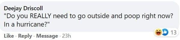 pet memes, animal memes, funny pet stories, talking to pets humor, absurd pet conversations, pet humor, furry friend jokes