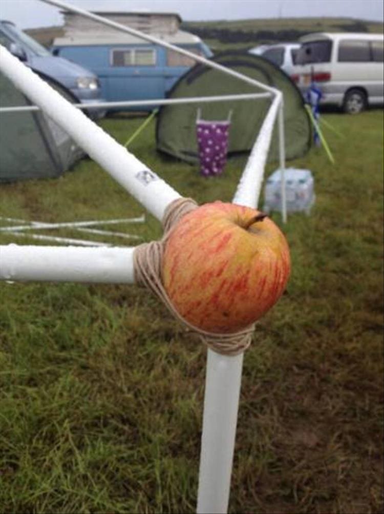 Redneck Engineering apple used for tent poles
