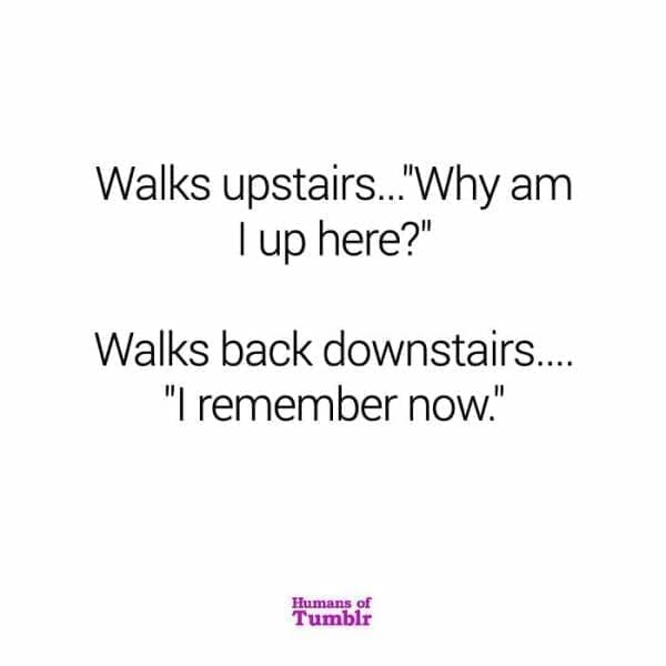 Walks upstairs....Why am I up here?" Walks back downstairs.... "I remember now."