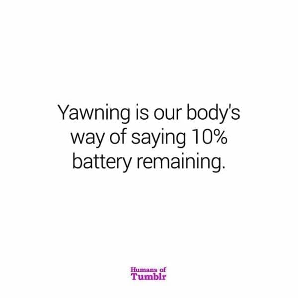 Yawning is our body's way of saying 10% battery remaining.