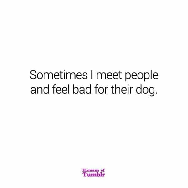 Sometimes I meet people and feel bad for their dog.