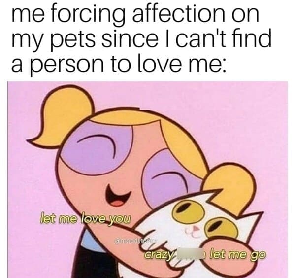 Relationship Drama Memes me forcing affection on my pets since I can't find a person to love me: let me love you aimaca craz let me go