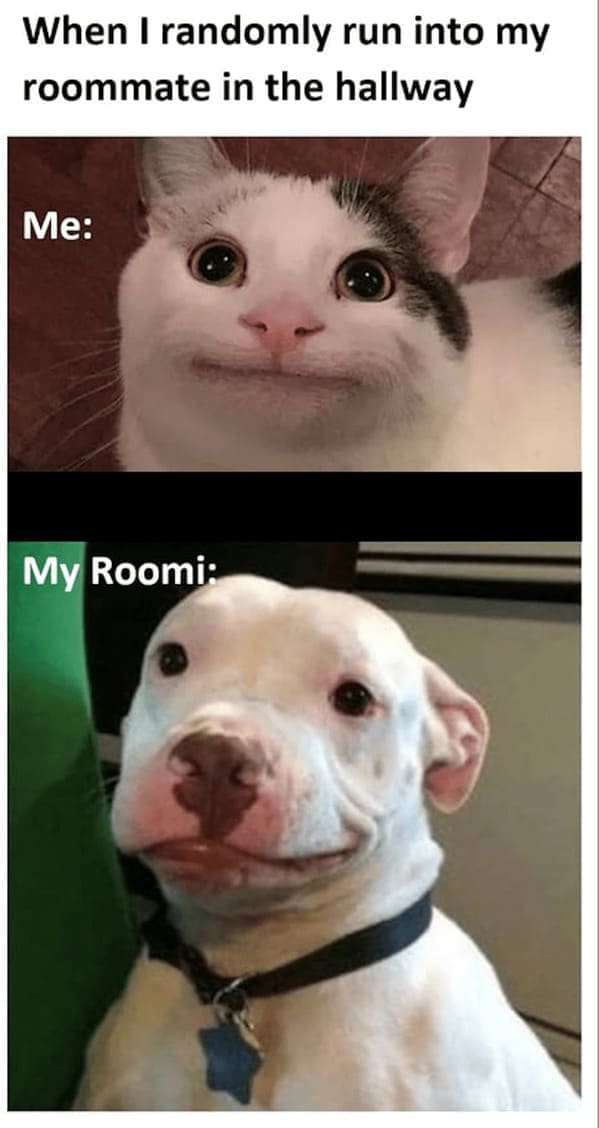 Roommate memes When I randomly run into my roommate in the hallway Me: My Roomi: