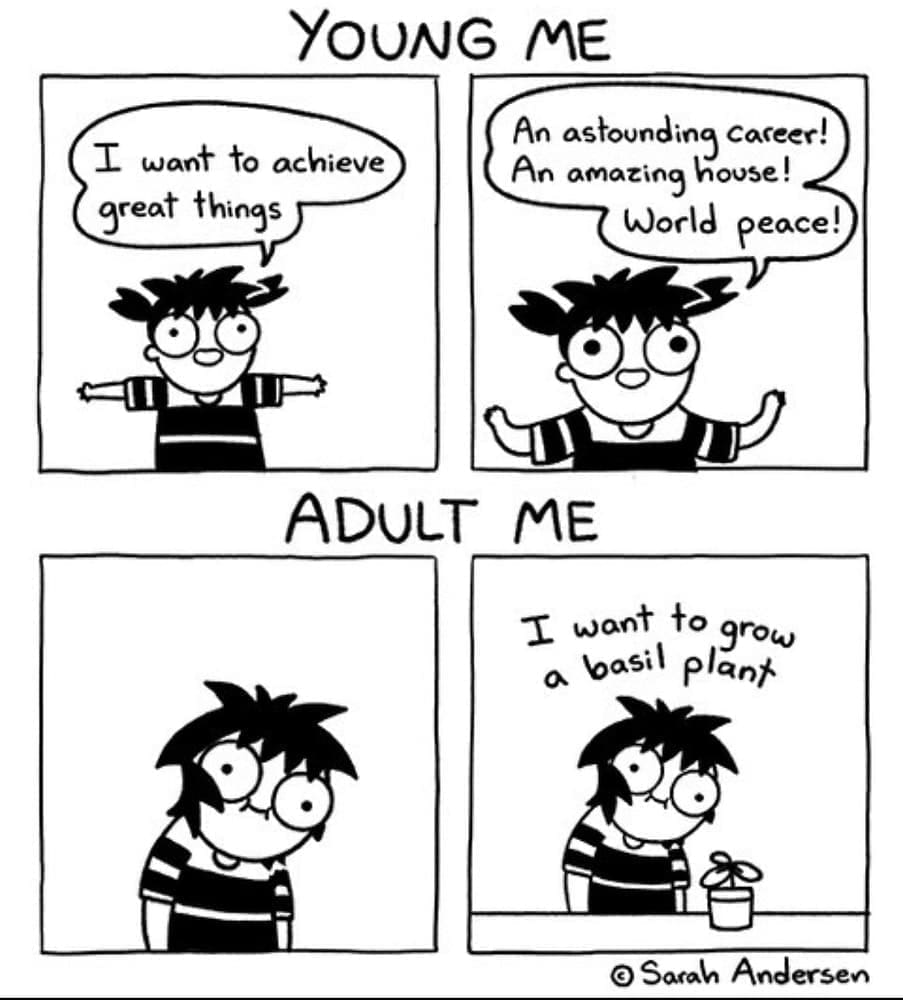 Sarah Scribbles comic YOUNG ME I want to achieve great things An astoung nocacer! World peace! ADULT ME I want to grow a basil plant