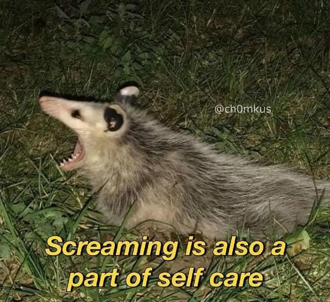 Self Care Memes Screaming is also a part of self care