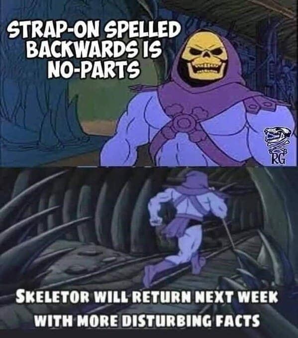 skeletor memes, he-man humor, skeletor meme, evil chuckles, nemesis jokes, meme-ified villains, villainous laughs, cartoon memes