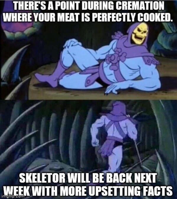 skeletor memes, he-man humor, skeletor meme, evil chuckles, nemesis jokes, meme-ified villains, villainous laughs, cartoon memes