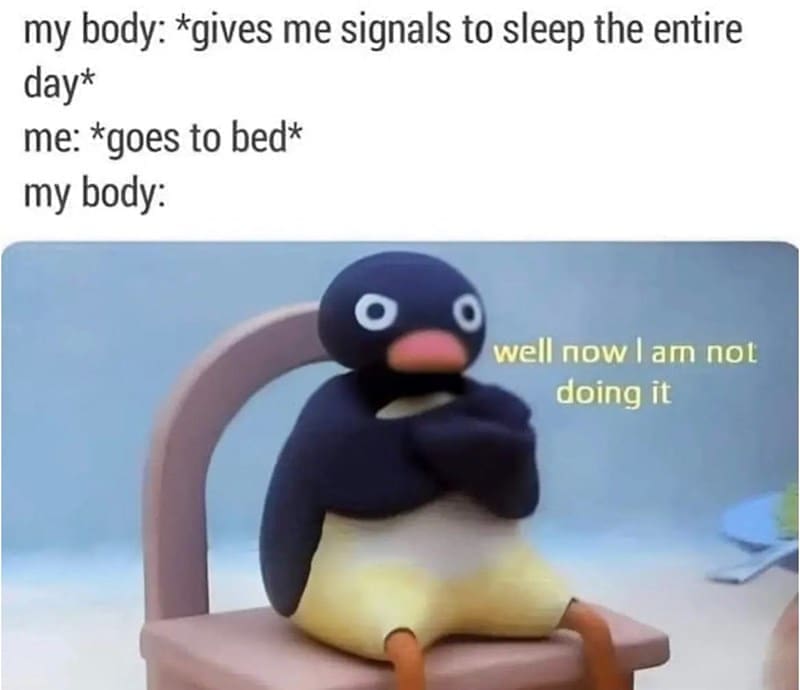 Sleep memes my body: *gives me signals to sleep the entire day* me: *goes to bed* my body: well now lam not doing it
