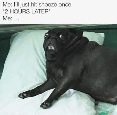 Sleep memes Me: Mijust hit snooze once *2 HOURS LATER* Me: