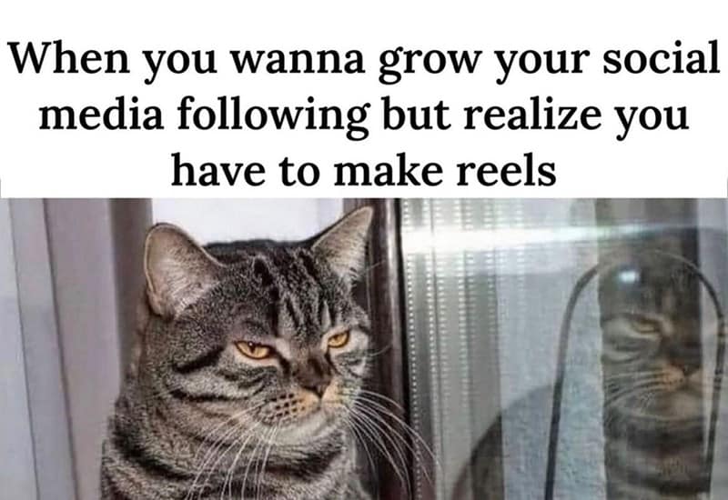 small business owner meme, entrepreneur humor, proprietor memes, entrepreneurial chuckles, self-employed humor