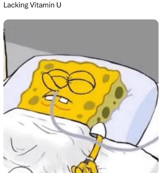 spongebob memes, dating memes