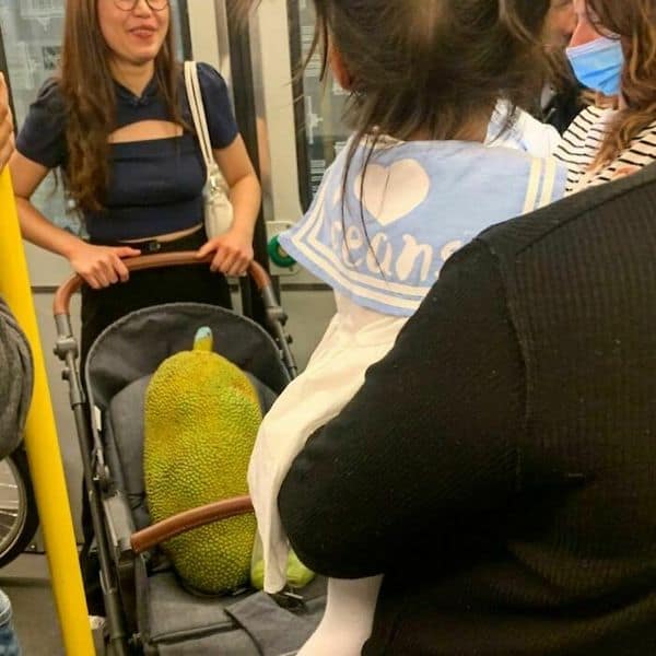 spotted on the subway, unusual public transit encounters