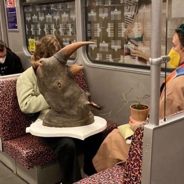 spotted on the subway, unusual public transit encounters