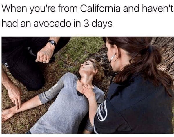 State memes When you're from California and haven't had an avocado in 3 days
