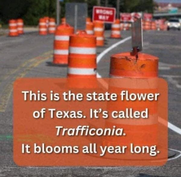 State memes This is the state flower of Texas. It's called Trafficonia. It blooms all year long.