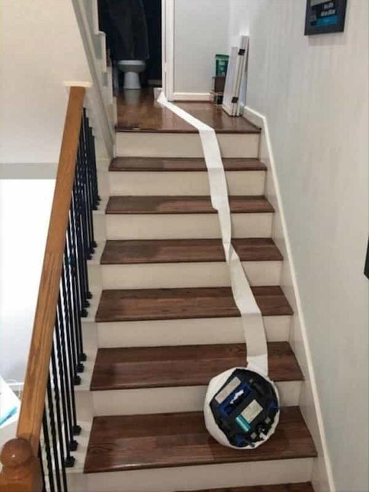 Roomba wrapped in toilet paper fallen downstairs