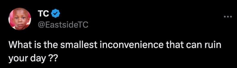 What is the smallest inconvenience that can ruin your day ??