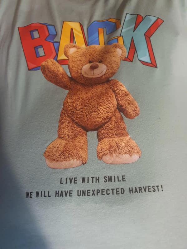 translation fails, language mishaps, mistranslation mishaps, language gaffes, translation bloopers