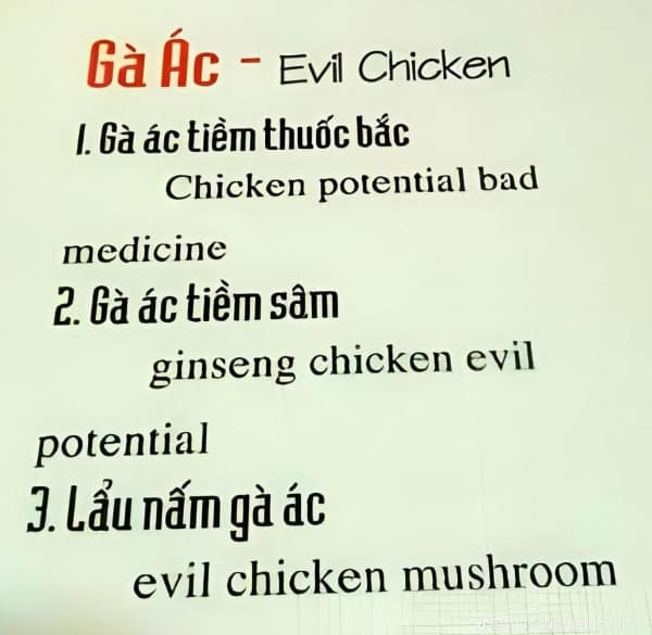 translation fails, language mishaps, mistranslation mishaps, language gaffes, translation bloopers