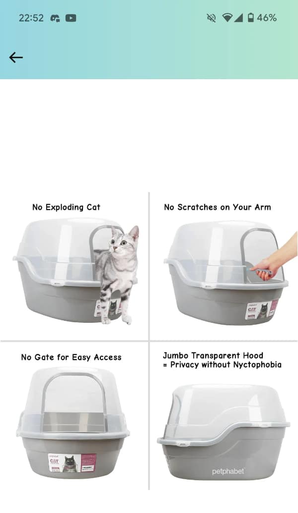 translation fails, language mishaps, mistranslation mishaps, language gaffes, translation bloopers