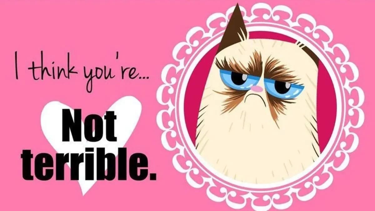 valentines memes, funny valentin's e-cards, humorous love memes, cheeky Valentine's Day cards, witty relationship humor