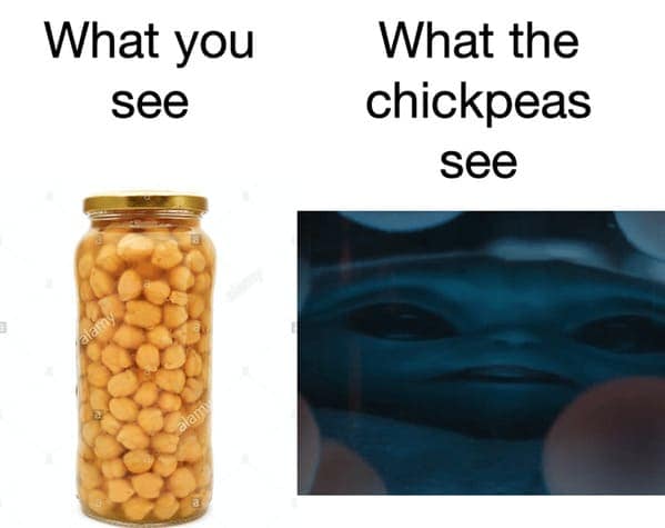 vegan memes, plant based humor, plant-based humor, herbivore laughs, cruelty-free comedy, vegetarian jokes, vegan humor, meat-free memes