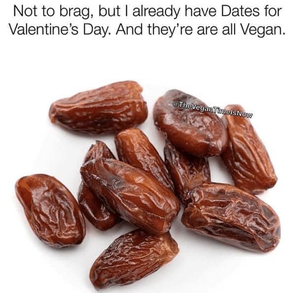 vegan memes, plant based humor, plant-based humor, herbivore laughs, cruelty-free comedy, vegetarian jokes, vegan humor, meat-free memes