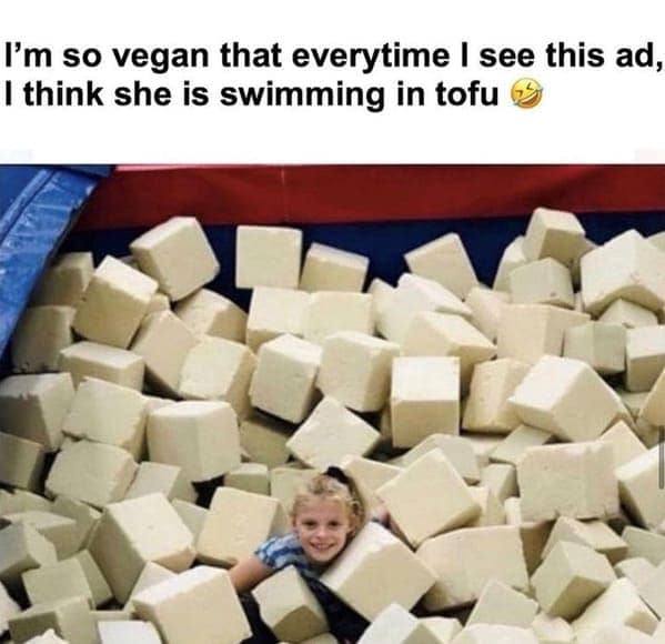 vegan memes, plant based humor, plant-based humor, herbivore laughs, cruelty-free comedy, vegetarian jokes, vegan humor, meat-free memes