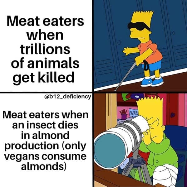 vegan memes, plant based humor, plant-based humor, herbivore laughs, cruelty-free comedy, vegetarian jokes, vegan humor, meat-free memes