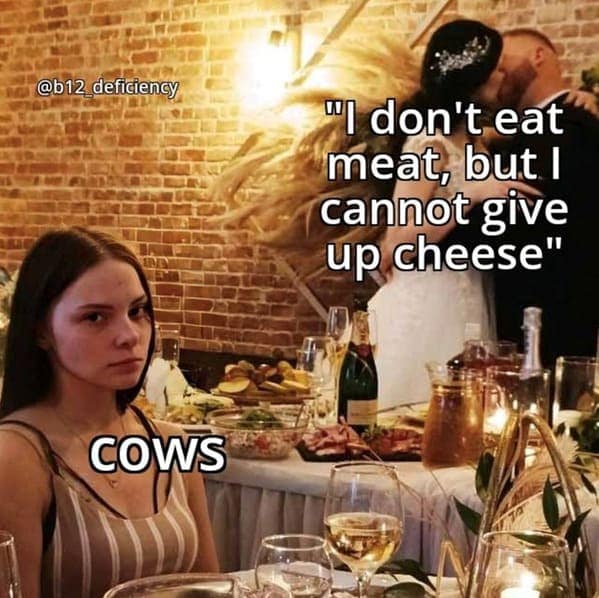 vegan memes, plant based humor, plant-based humor, herbivore laughs, cruelty-free comedy, vegetarian jokes, vegan humor, meat-free memes