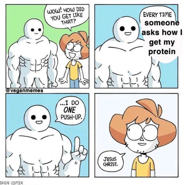 vegan memes, plant based humor, plant-based humor, herbivore laughs, cruelty-free comedy, vegetarian jokes, vegan humor, meat-free memes