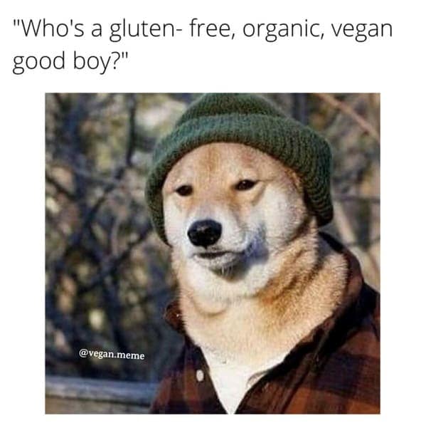 vegan memes, plant based humor, plant-based humor, herbivore laughs, cruelty-free comedy, vegetarian jokes, vegan humor, meat-free memes
