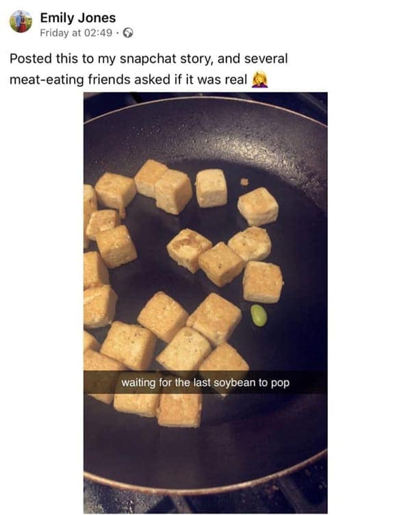 vegan memes, plant based humor, plant-based humor, herbivore laughs, cruelty-free comedy, vegetarian jokes, vegan humor, meat-free memes