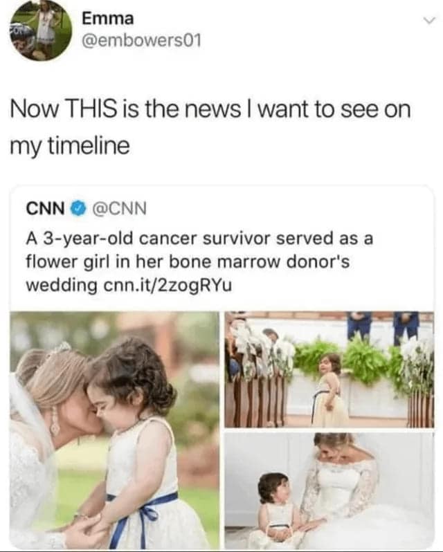 wholesome memes, heartwarming memes, positive humor, feel-good internet content, Uplifting memes, kindness snapshots, joy-filled humor