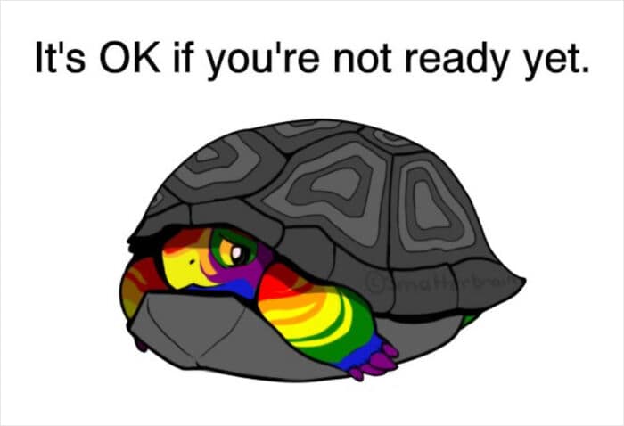 wholesome memes, inclusive memes