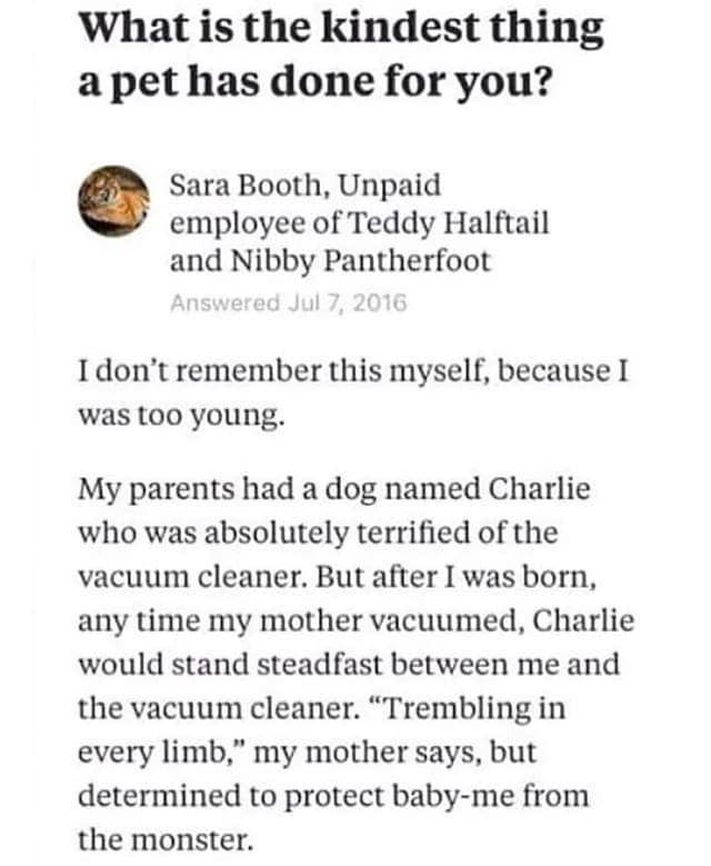 wholesome memes, heartwarming memes, positive humor, feel-good internet content, Uplifting memes, kindness snapshots, joy-filled humor