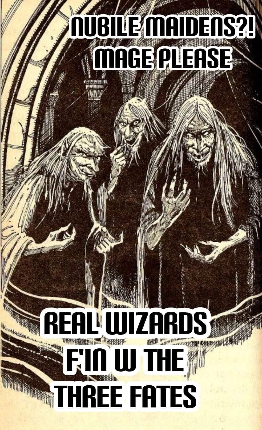 Wizard Memes NUBILE MAIDENS?! MAGE PLEASE REAL WIZARDS FIN W THE THREE FATES