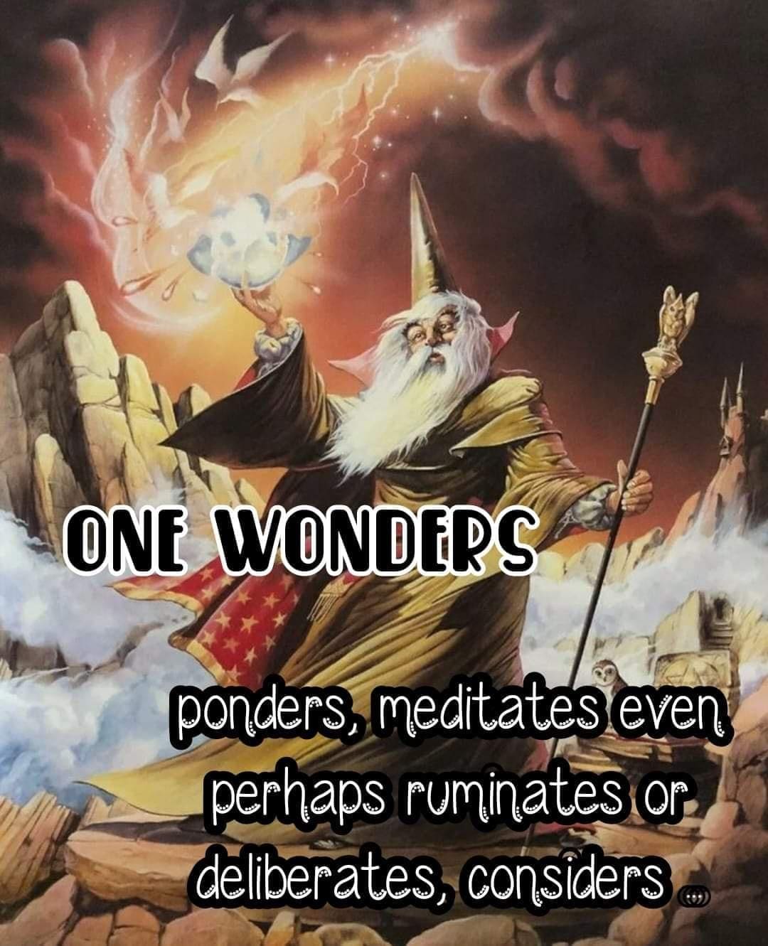 Wizard Memes ONE WONDERS ponders, meditates even perhaps ruminates or deliberates, considers •